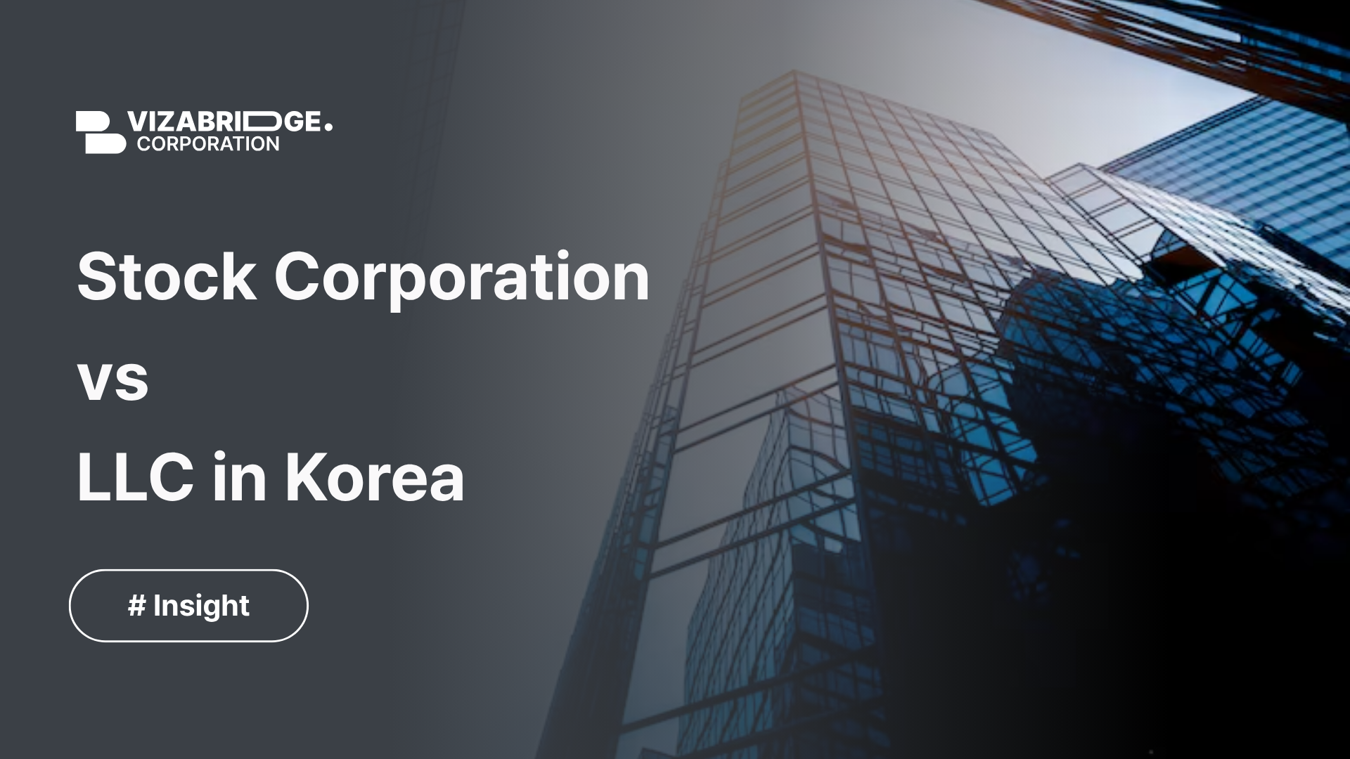 Stock Corporation (Chusik Hoesa) or Limited Liability Company (Yuhan Hoesa): Which Is Right for Your Business?
